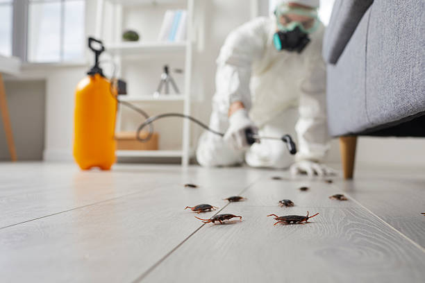 Commercial Kitchen Cockroach Control in Pocono Ranch Lands